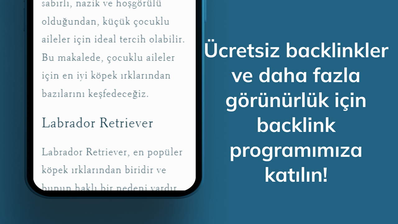 Daha fazla görünürlük için backlink programına katılın.