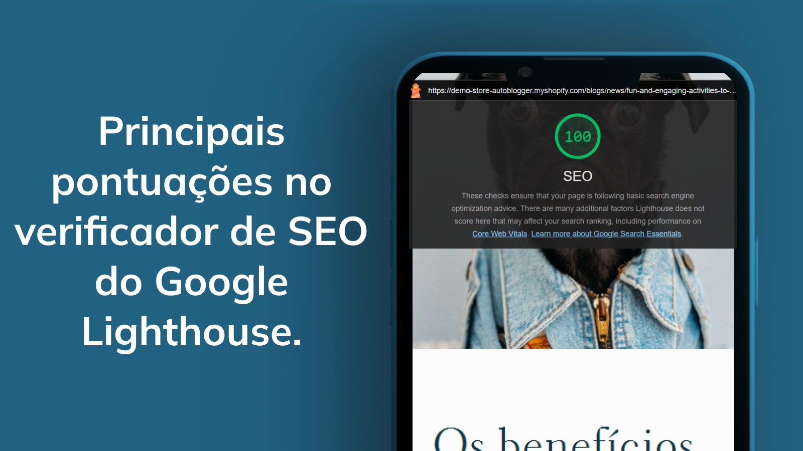 Notas SEO Google de ponta para blogs automáticos.