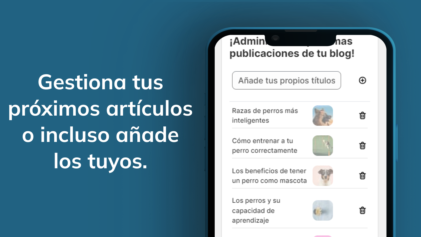 Gestión eficiente de blogs próximos.