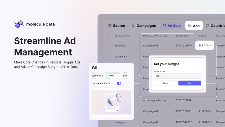 Molecule Marketing Analytics Screenshot