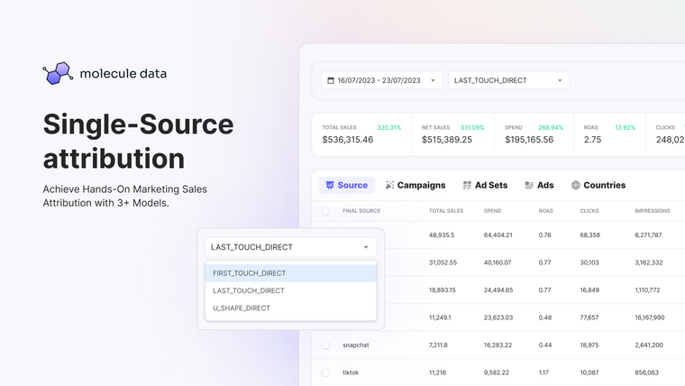 Molecule Marketing Analytics Screenshot