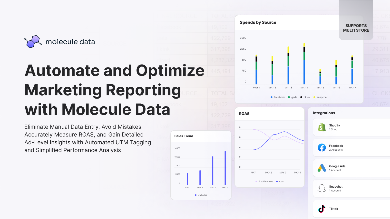 Molecule Marketing Analytics Screenshot