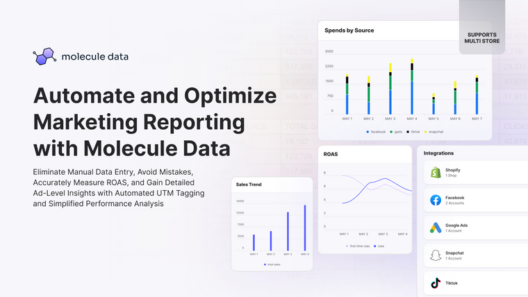 Molecule Marketing Analytics Screenshot