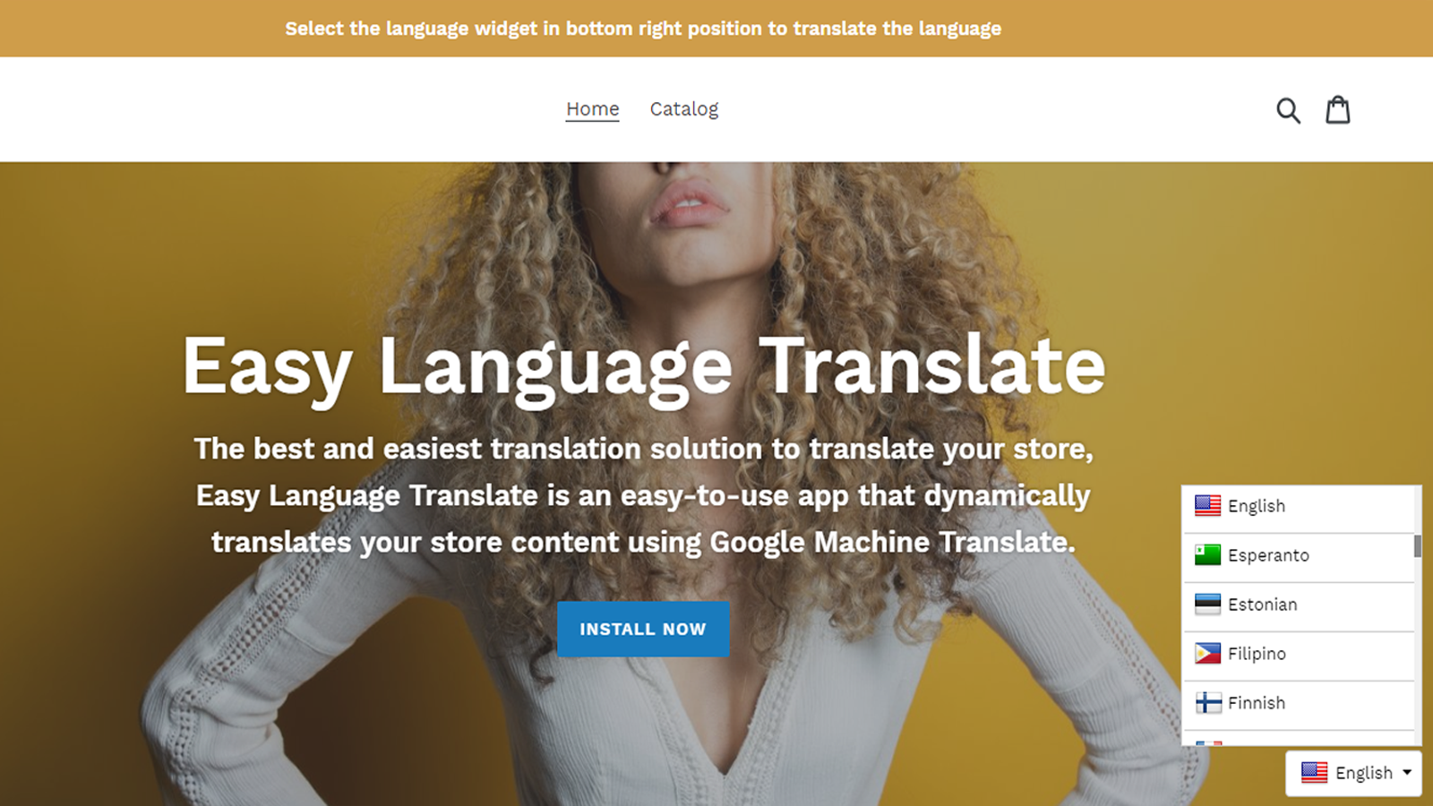 vista previa del widget de easy language translate