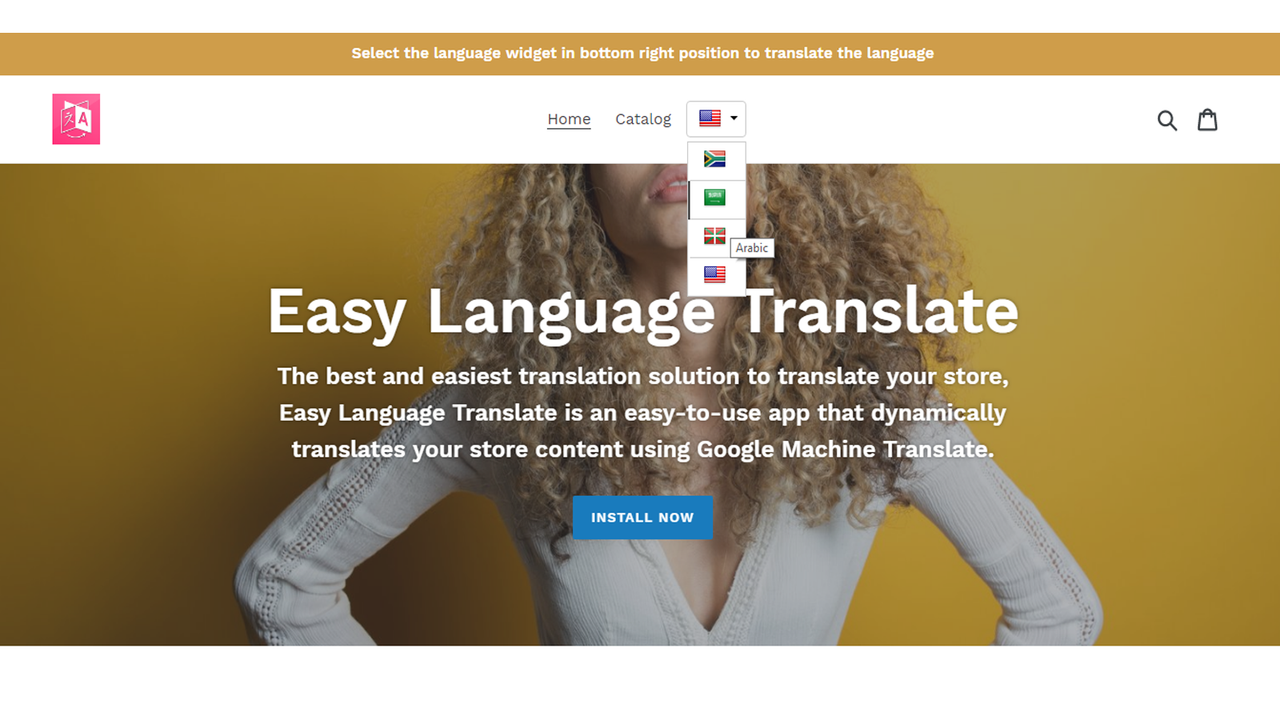 language widget layout 3