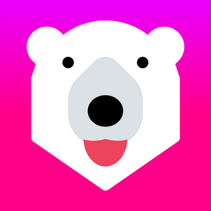 Currency Converter Bear