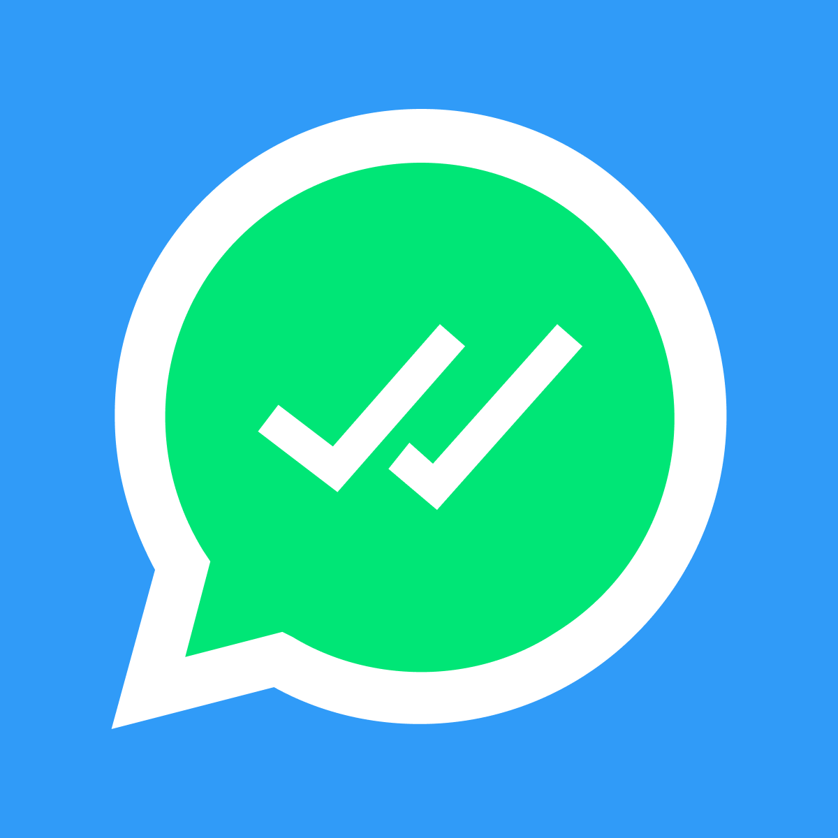 Whatsy Live WhatsApp Chat