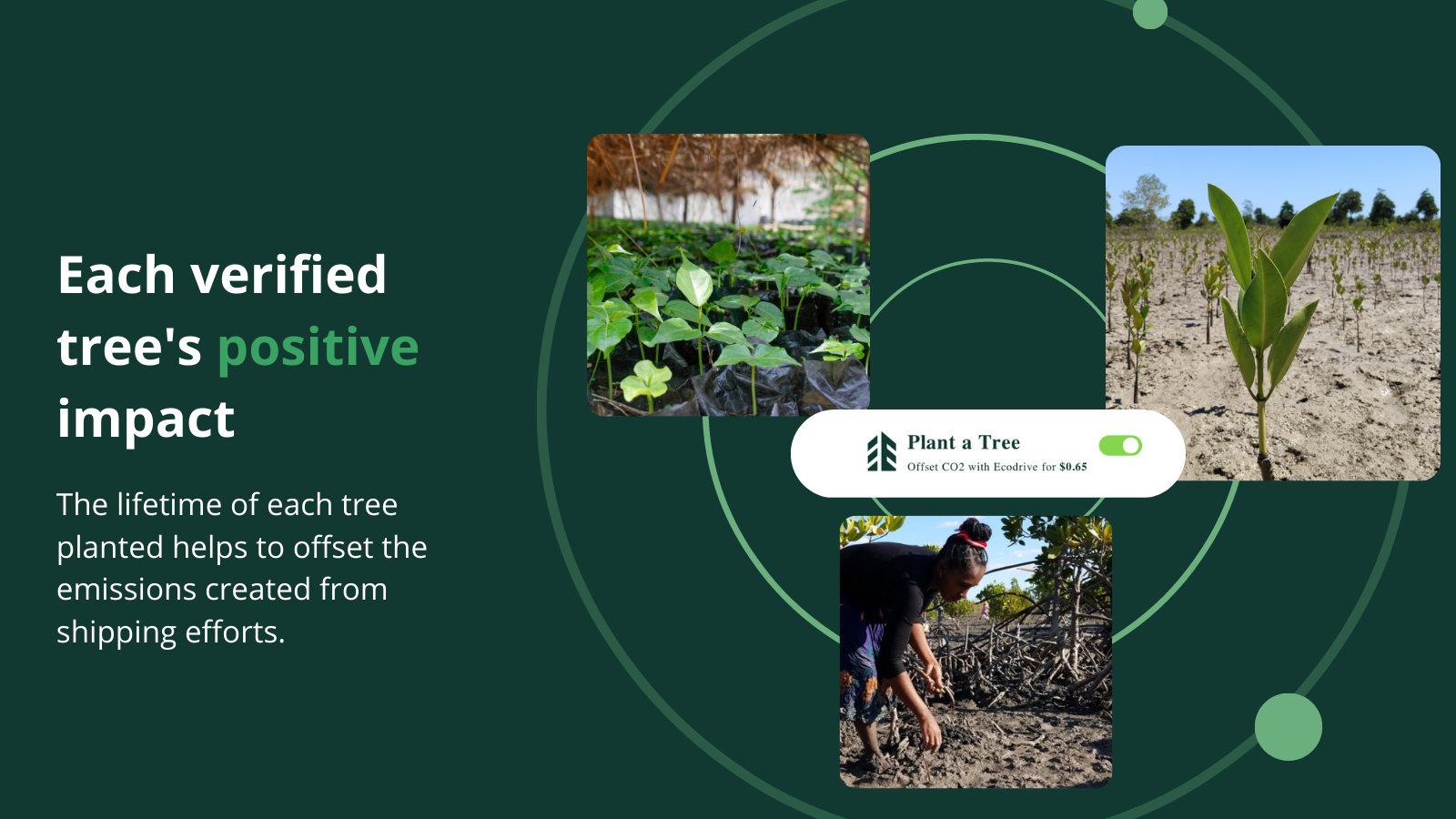 Each tree will make order's climate positive & alleviate poverty