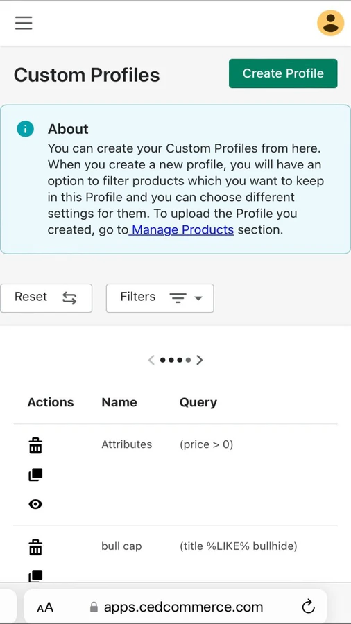 Custom Profiles, Shopify Plus, Google Shopping Feed