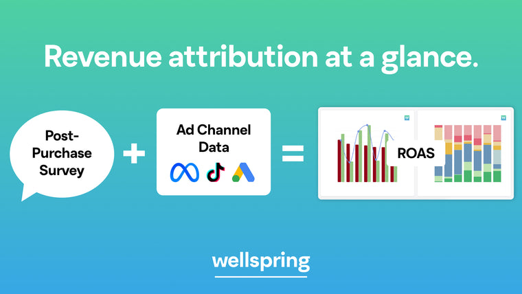Wellspring Attribution Screenshot