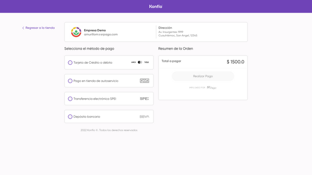 Payment page preview