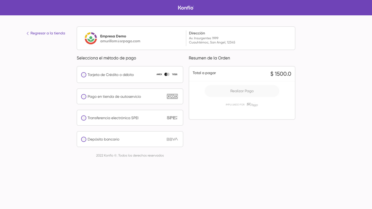 Payment page preview