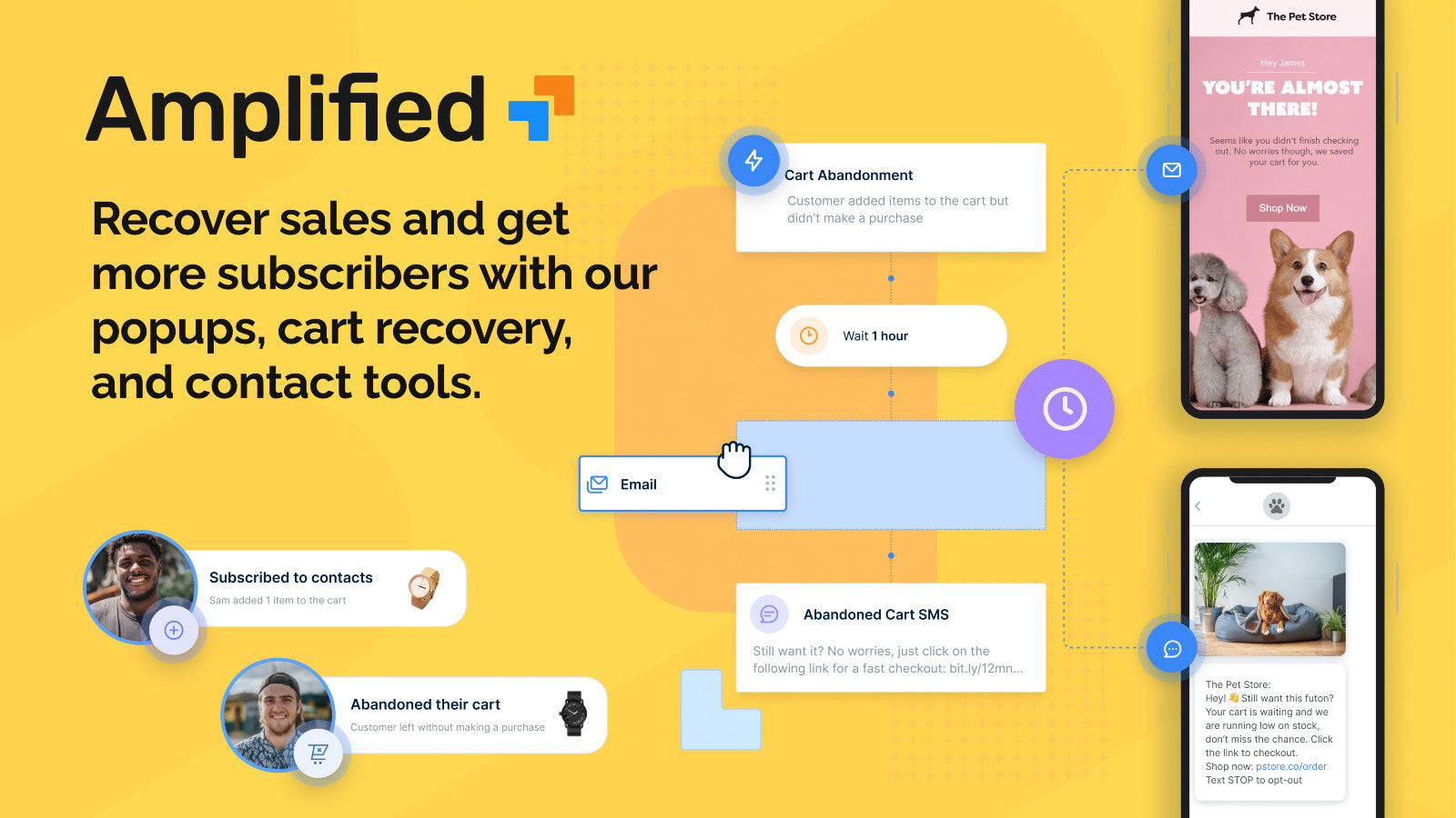 Amplified Email & Abandon Cart Screenshot