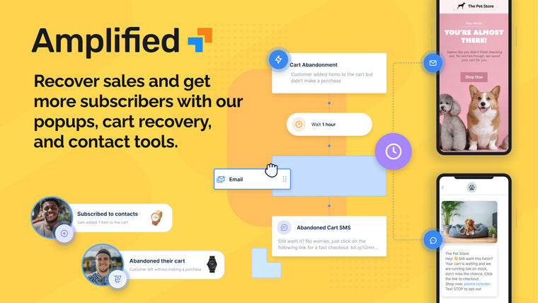 Amplified Email & Abandon Cart Screenshot