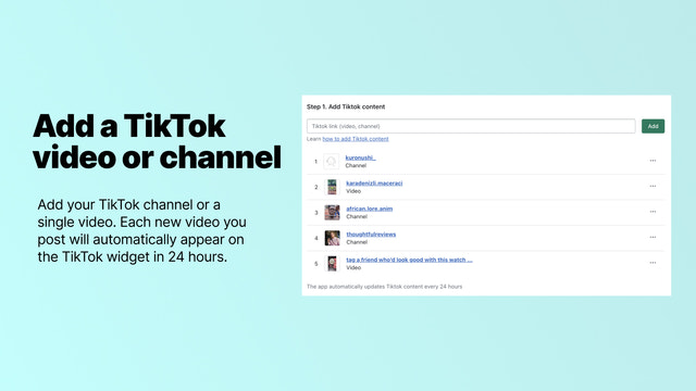 Añade un canal o video de TikTok