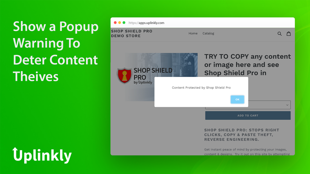 Shop Shield Pro - Disable Right Click Image Theft, Copy Paste, Block  Competitors