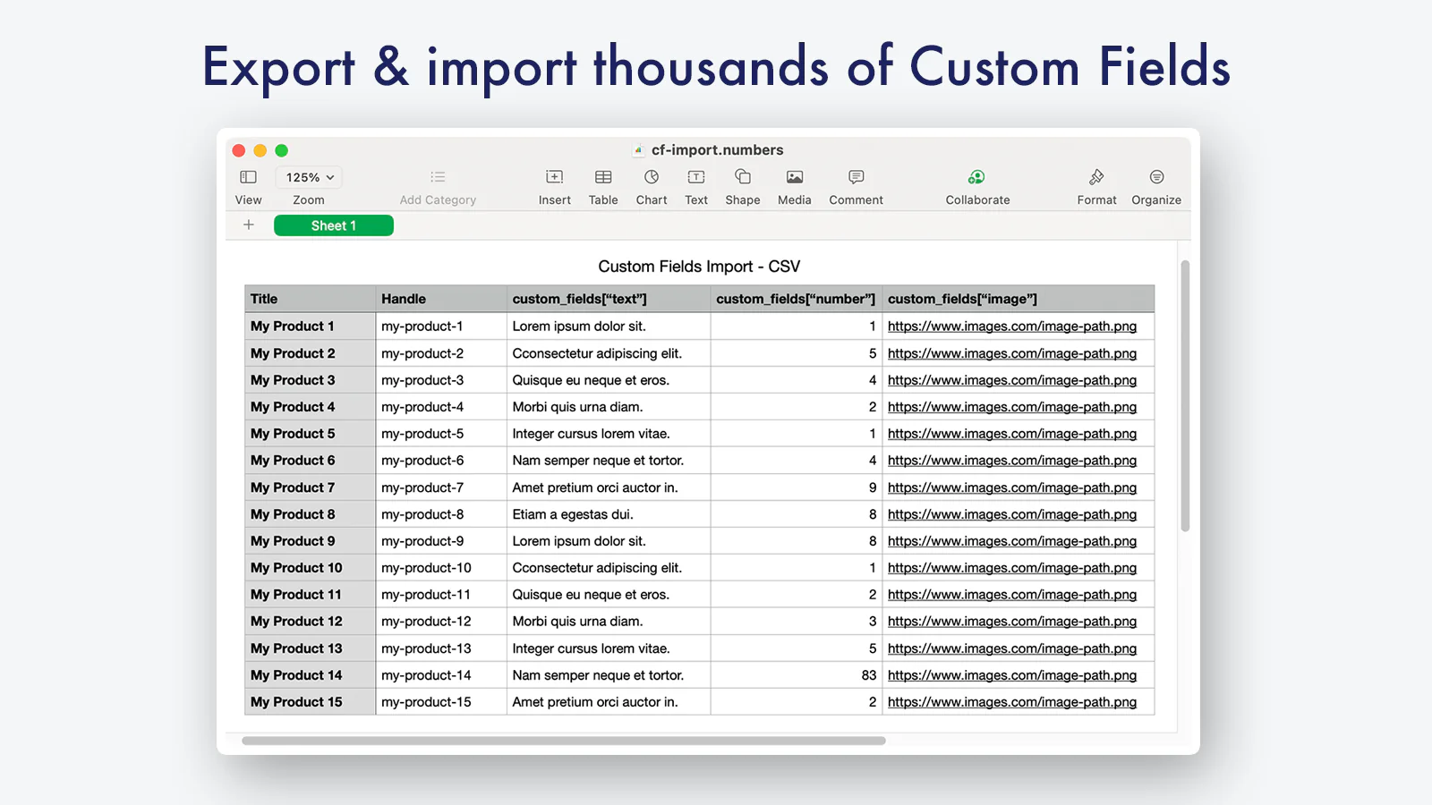 Importa datos de Campos Personalizados para miles de registros