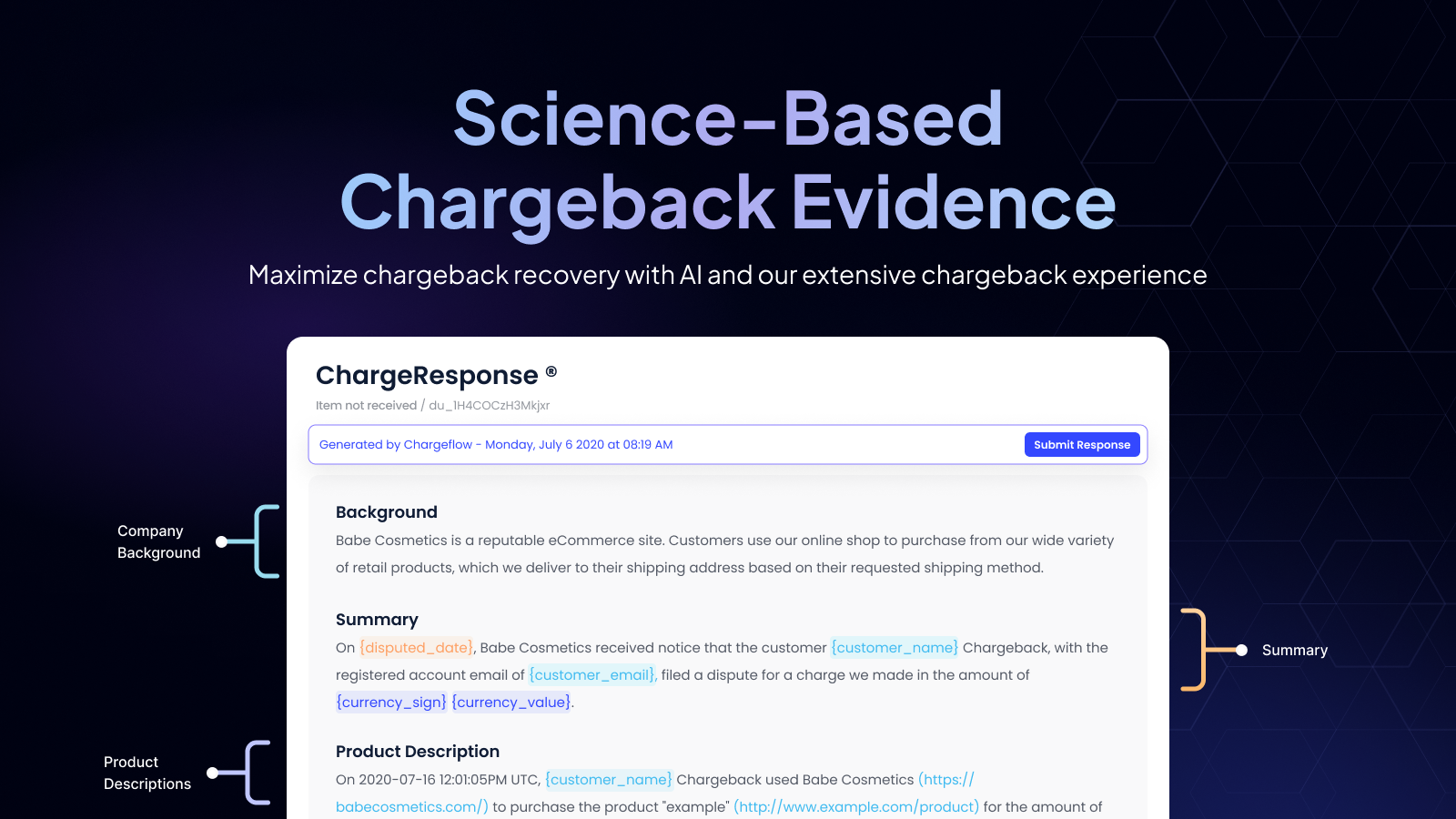 Chargeflow Dispute Chargebacks Screenshot