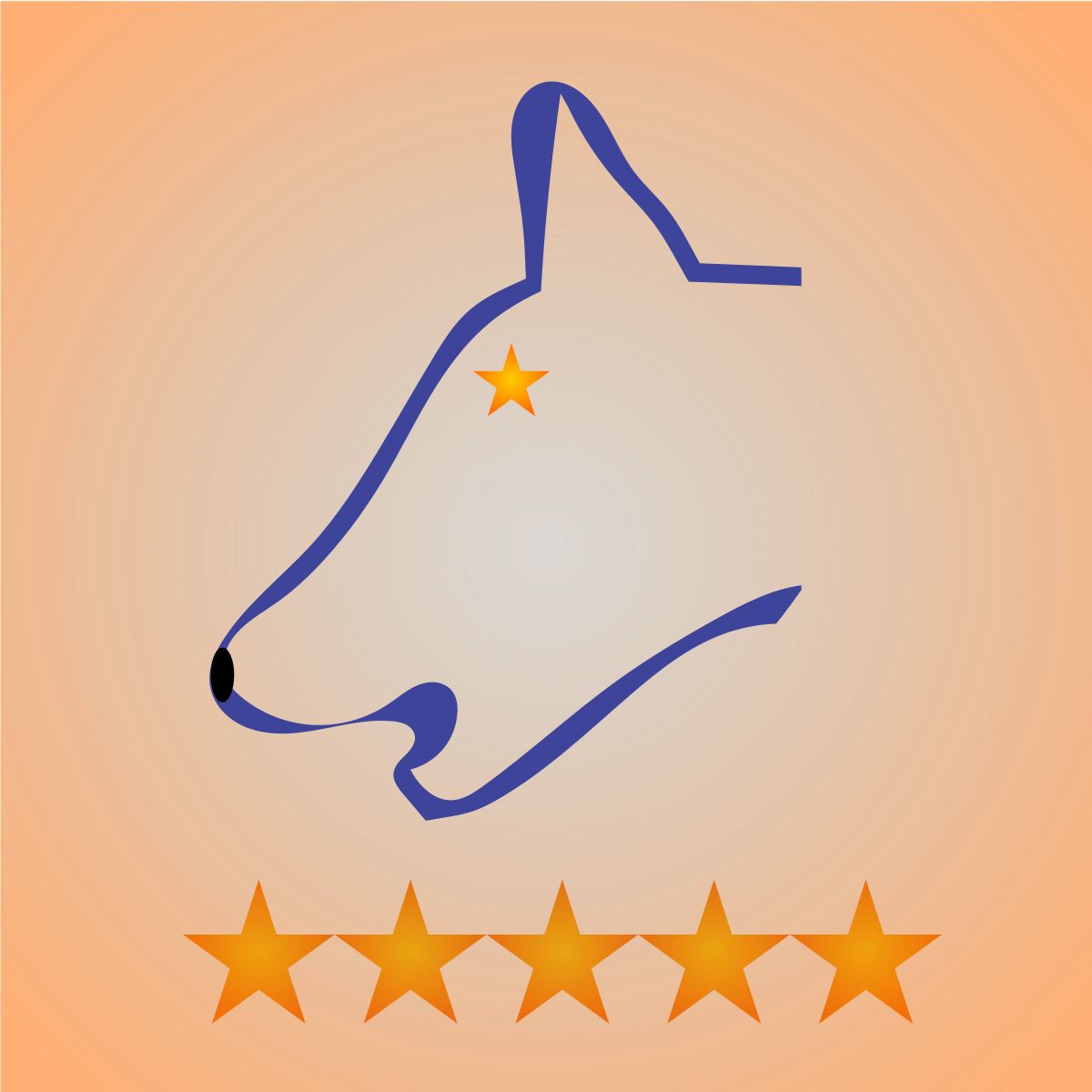 Review Fetch ‑ Amazon & AliExp