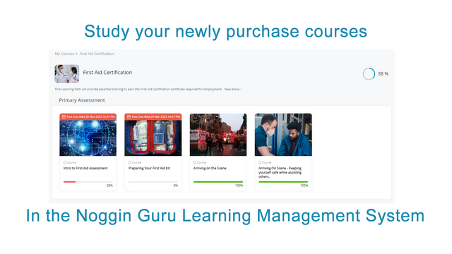 Estude seus cursos recém-comprados no Noggin Guru LMS