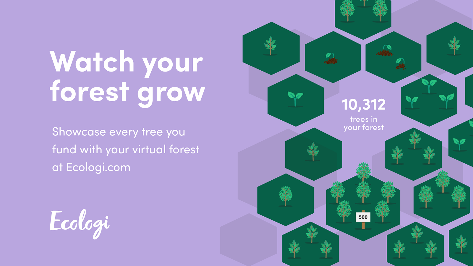 Watch your virtual forest grow and share your success