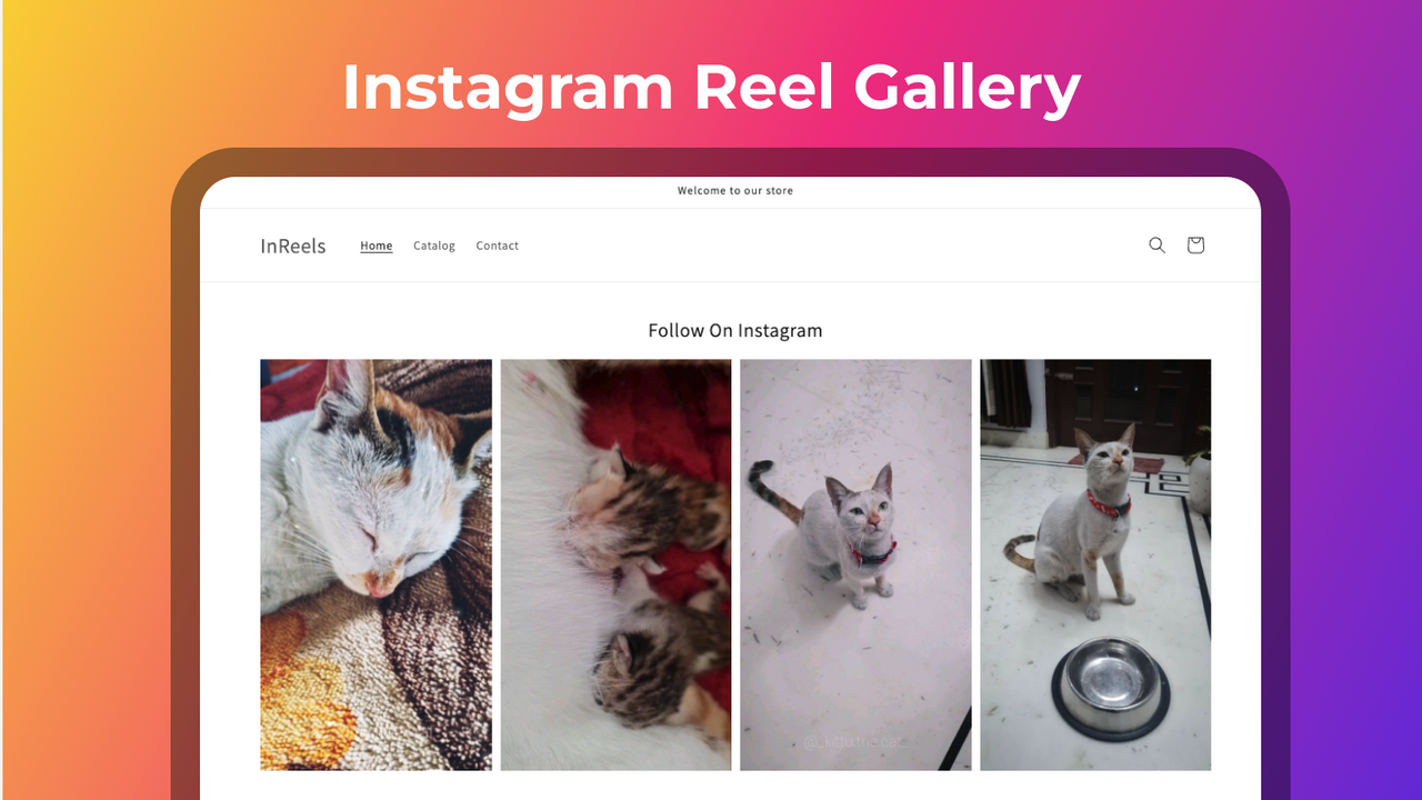 Instagram Reels Galleri