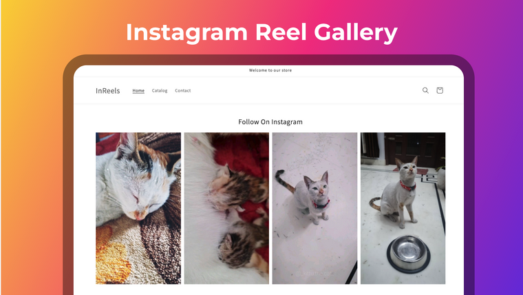 IRS Shoppable Instagram Reels Screenshot