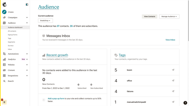 Tableau de bord de l'audience montrant croissance & performances