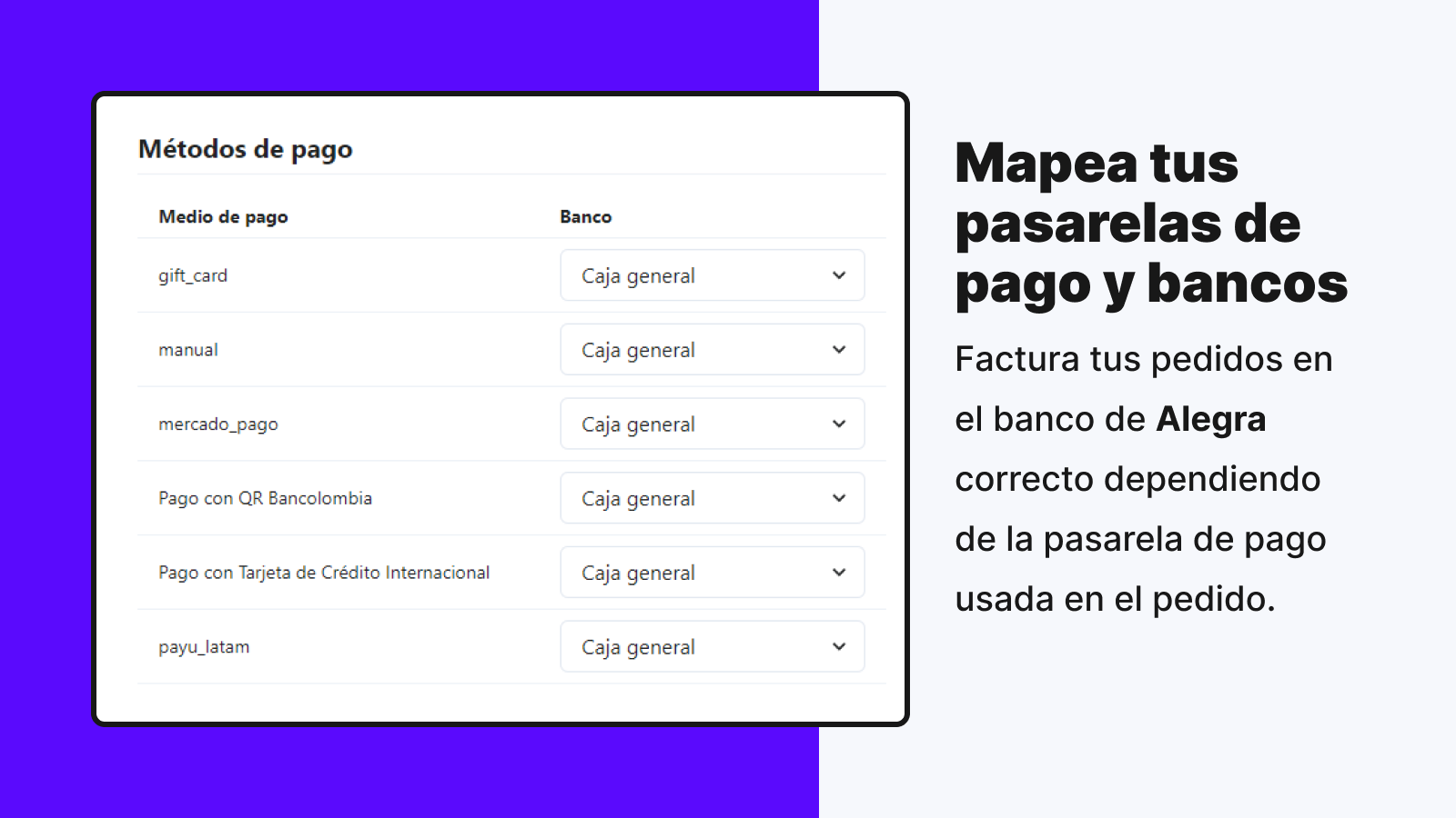 Integración Alegra Colombia Screenshot