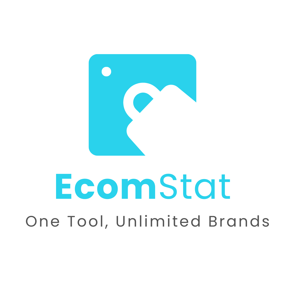 EcomStat for Shopify