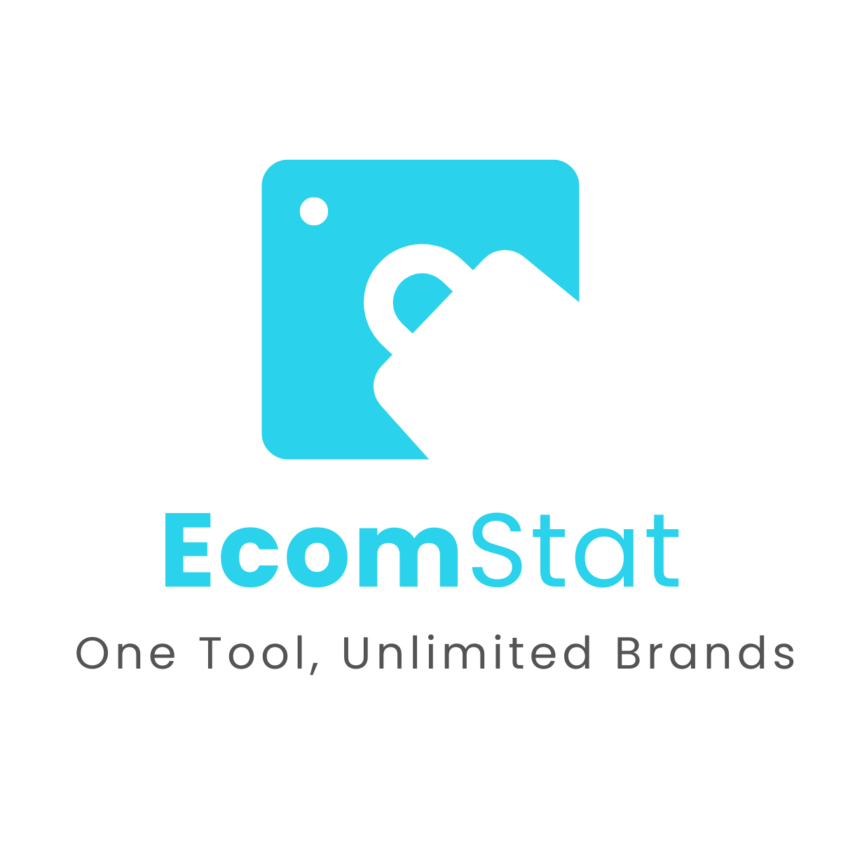 EcomStat