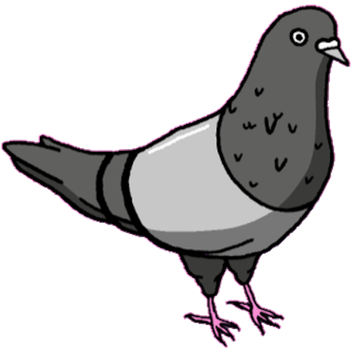 Pidgeon