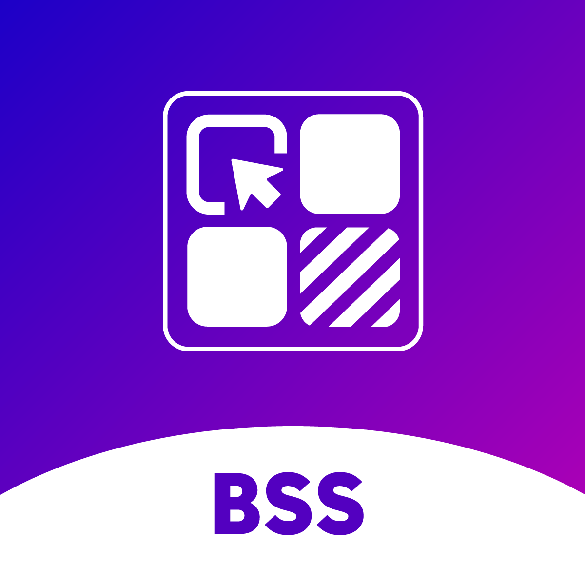 BSS: Product Variants Options icon