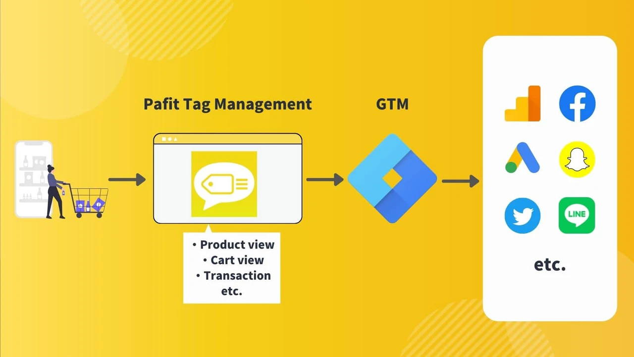 Aperçu de Pafit Tag Management pour GTM