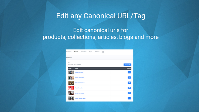 Bearbeiten Sie die Canonical URL für Produkte, Seiten, Sammlungen, Artikel