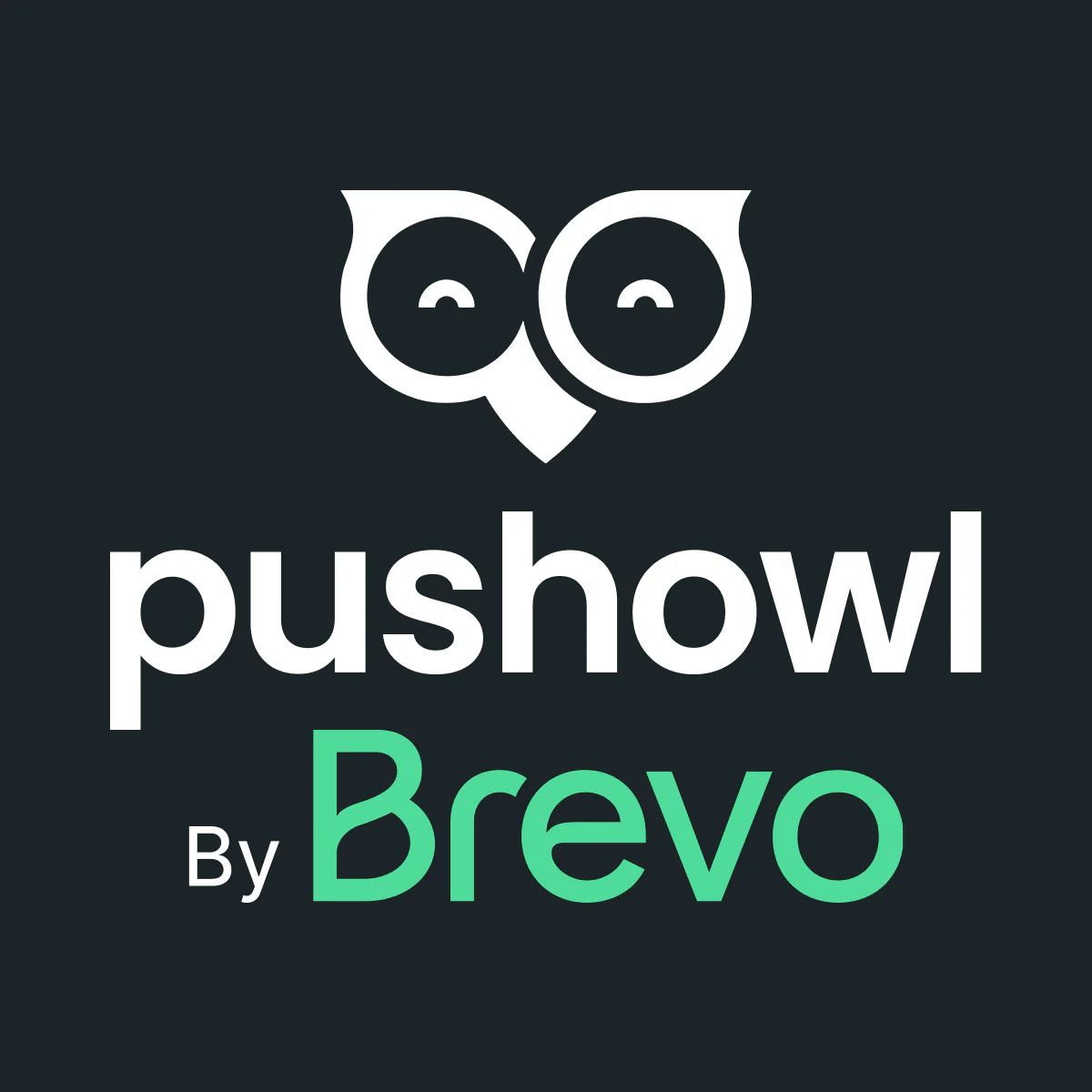 PushOwl & Brevo:Email/Push/SMS for Shopify