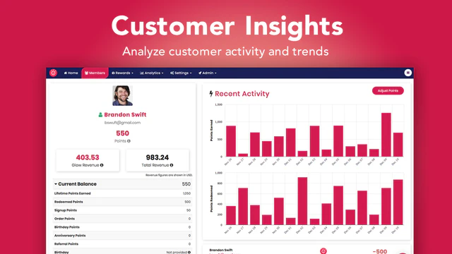 Customer Insights