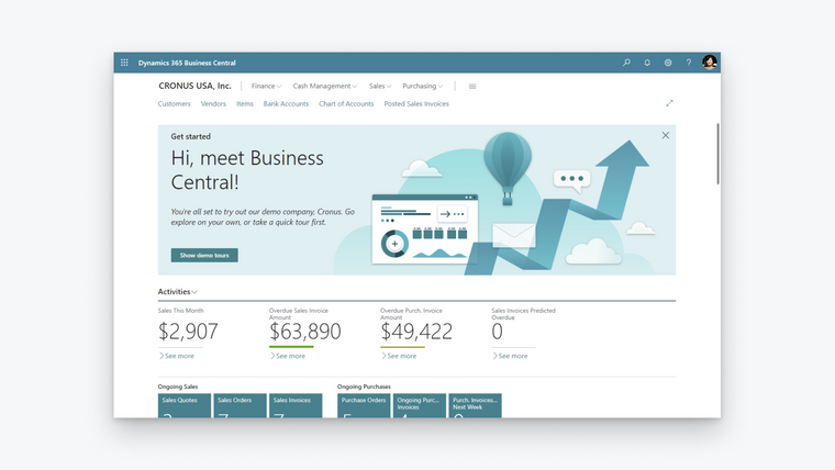 Dynamics 365 Business Central Screenshot