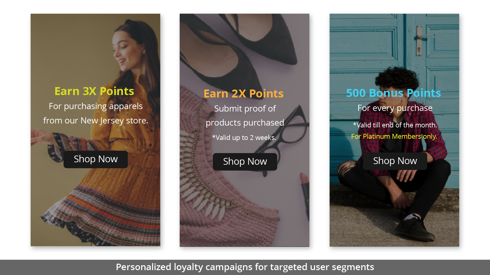 PERSONALIZED LOYALTY CAMPAIGNS FOR TARGETED USER SEGMENTS
