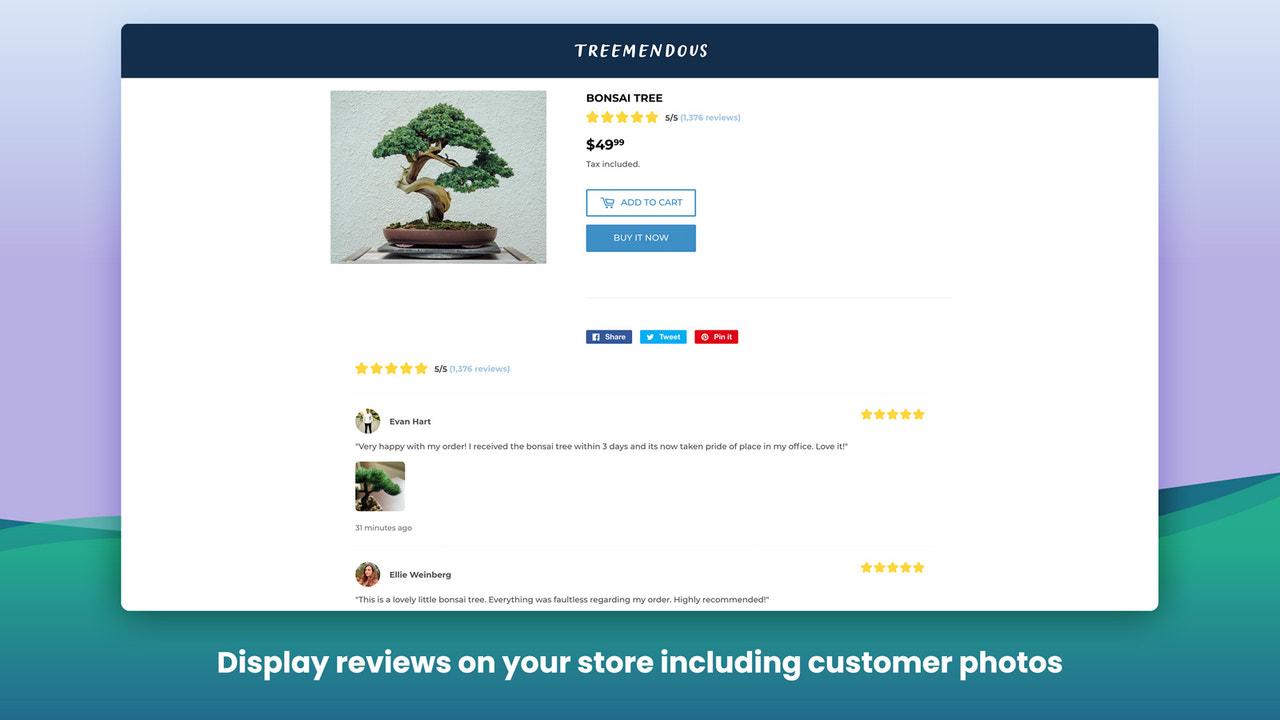 Display reviews on your store including customer photos