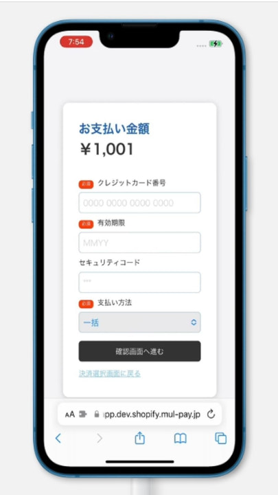 カード情報入力画面（iOS/safari）