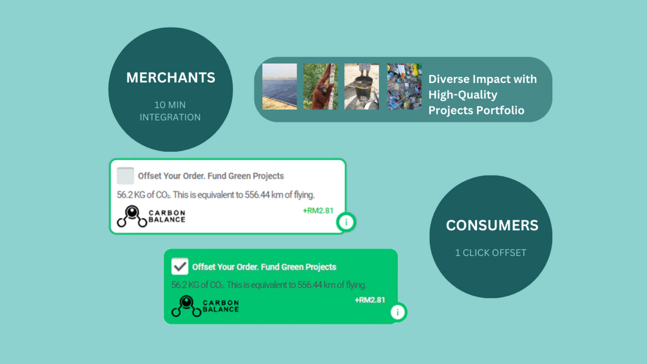 Carbon Balance ‑ Carbon Offset - Make the environment healthier with ...