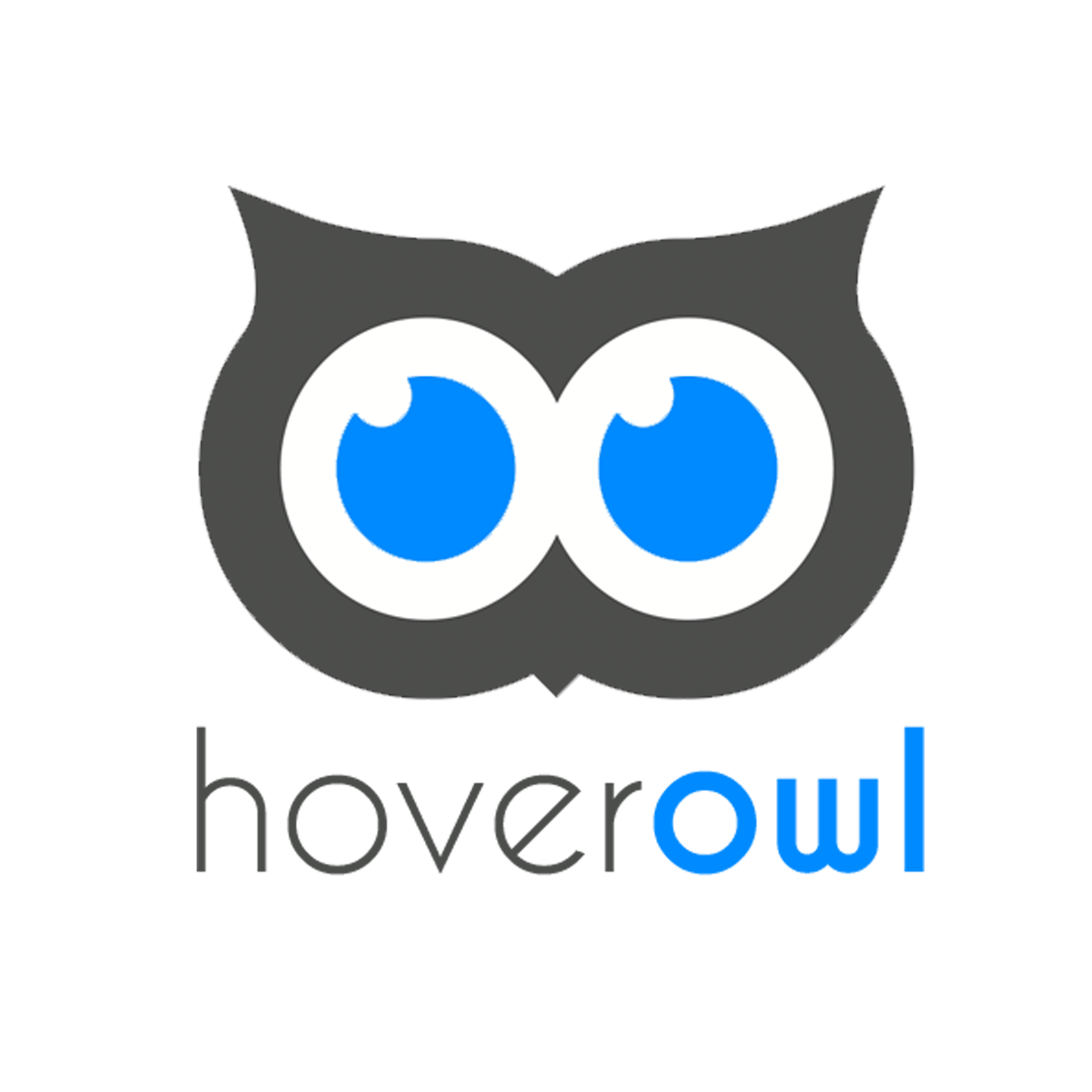 Hoverowl Related Products AI