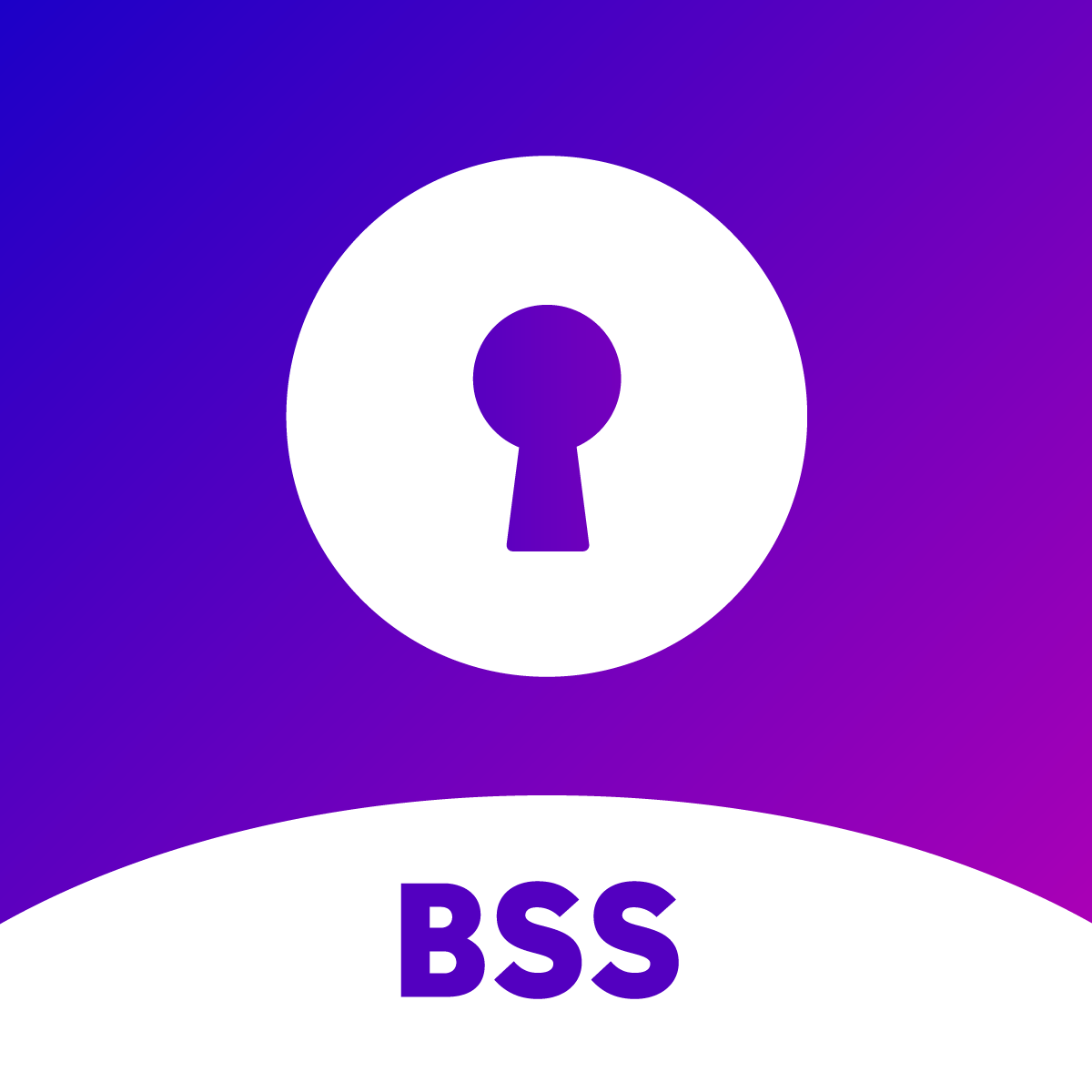 B2B Login Lock Hide Price BSS for Shopify