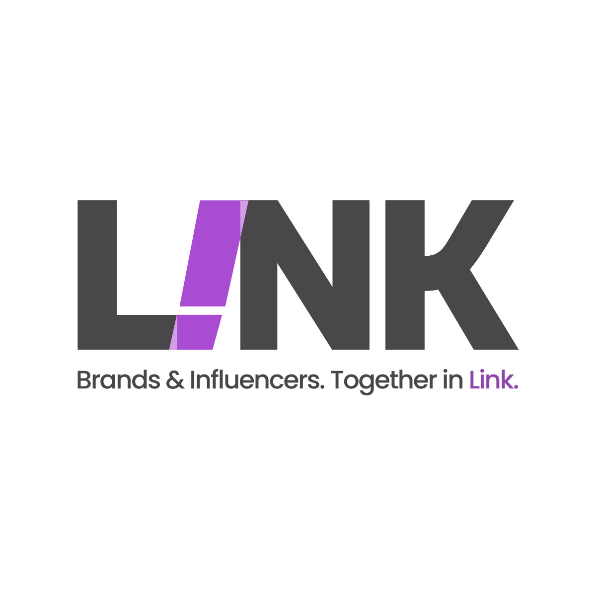 L!NK ‑ Influential Customers