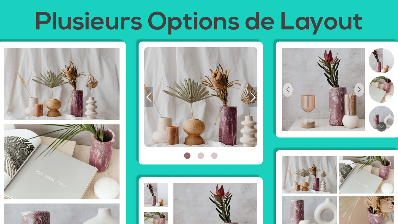 Plusieurs Options de Layout