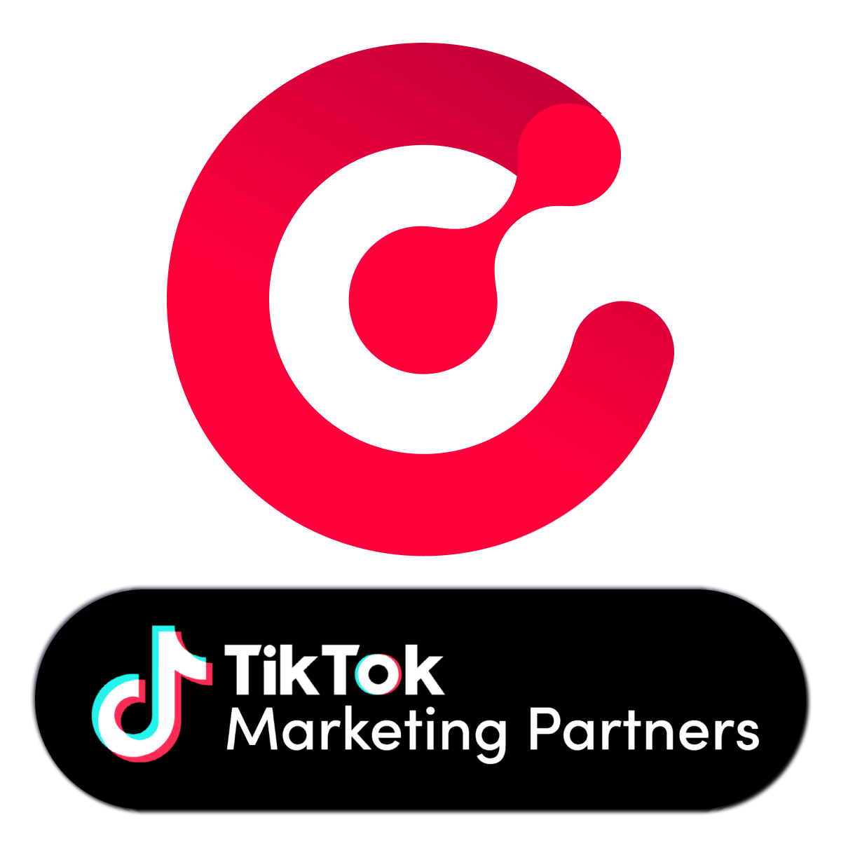 Ecomdy TikTok Ad TikTok Pixel for Shopify