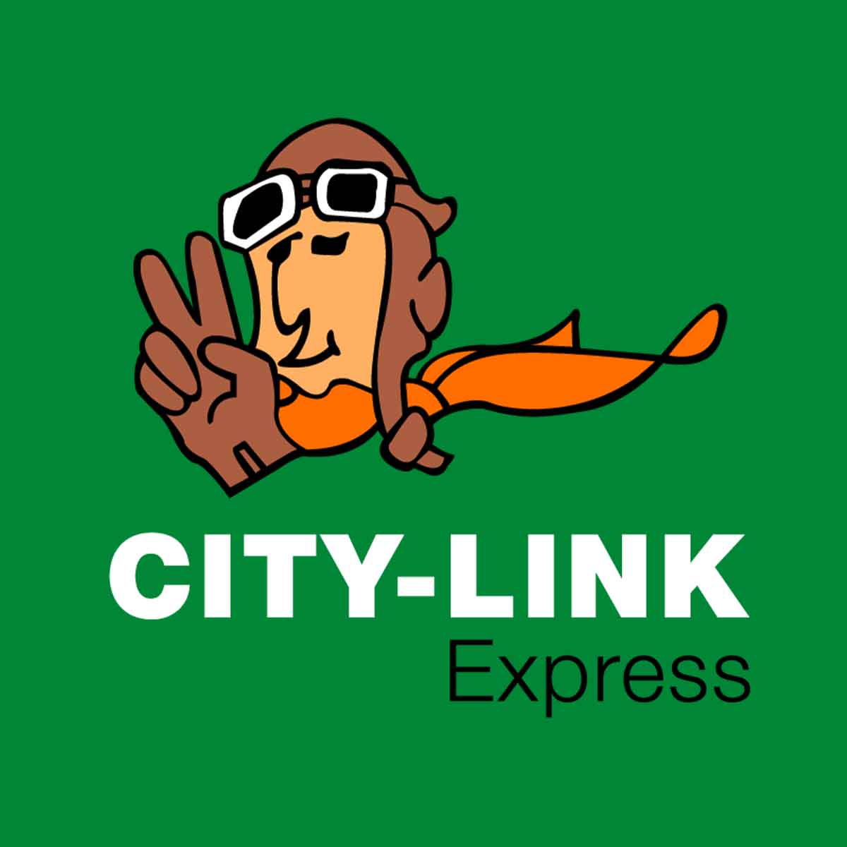 City‑Link Express
