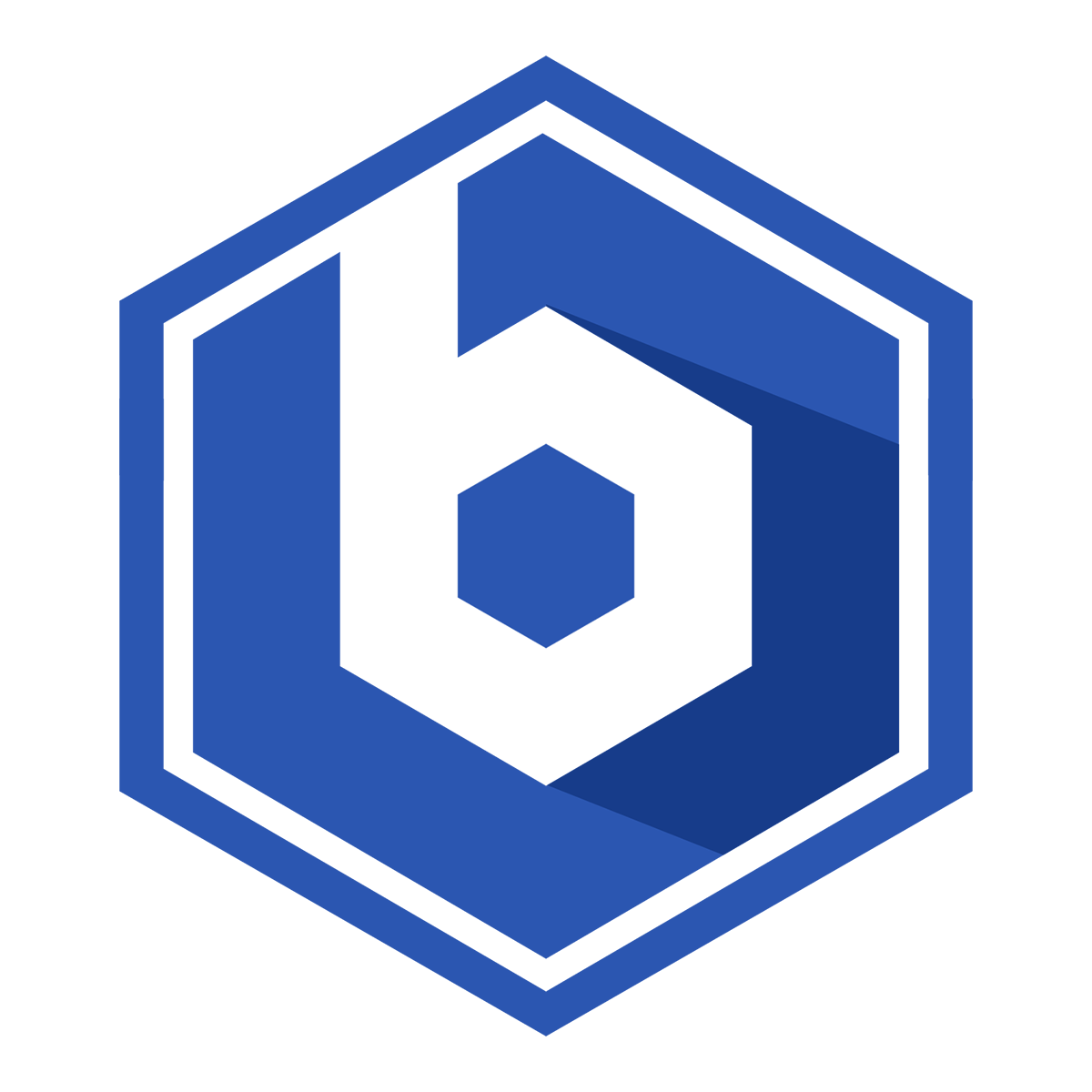 Bluecore Data Central Platform icon