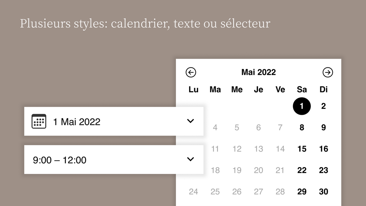 Plusieurs styles: calendrier, texte ou sélecteur